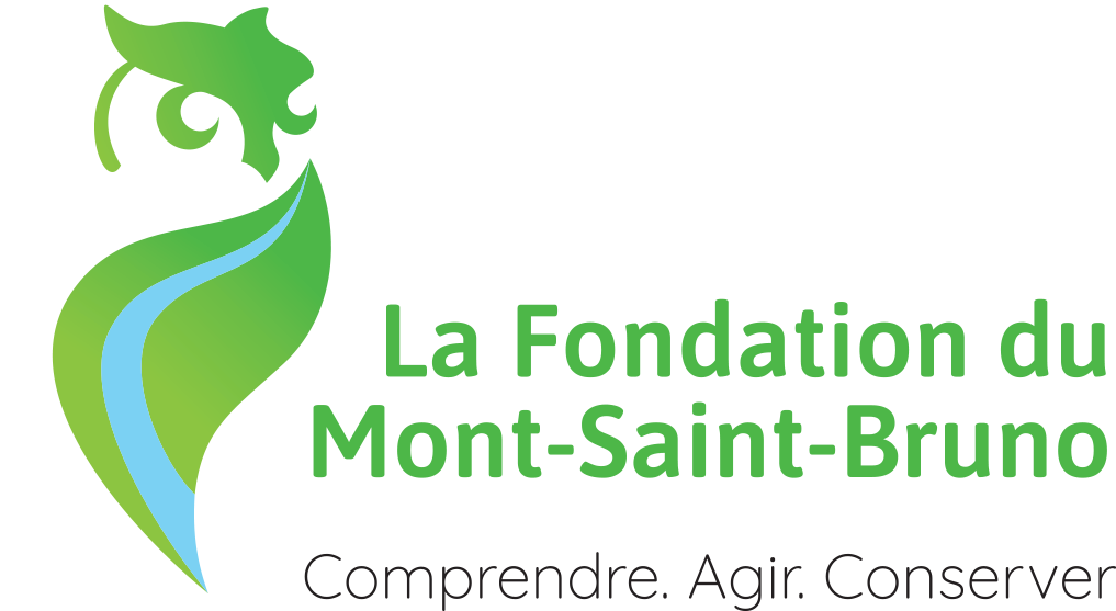 Fondation Du Mont-Saint-Bruno